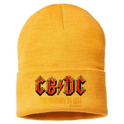 Cbdc Clothing Sustainable Knit Beanie