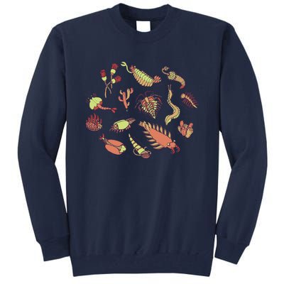 Cambrian Critters Tall Sweatshirt