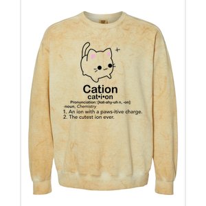 Cat Cation Cute Kitty Cation Colorblast Crewneck Sweatshirt