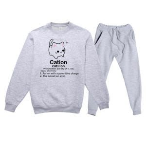 Cat Cation Cute Kitty Cation Premium Crewneck Sweatsuit Set