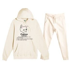 Cat Cation Cute Kitty Cation Premium Hooded Sweatsuit Set