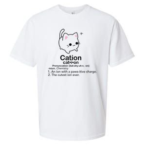 Cat Cation Cute Kitty Cation Sueded Cloud Jersey T-Shirt