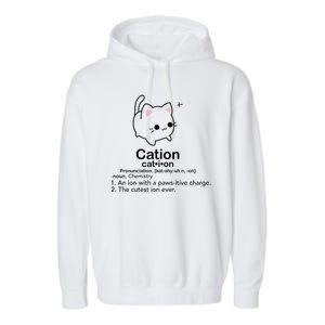 Cat Cation Cute Kitty Cation Garment-Dyed Fleece Hoodie