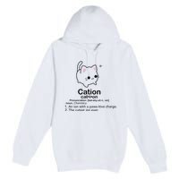 Cat Cation Cute Kitty Cation Premium Pullover Hoodie