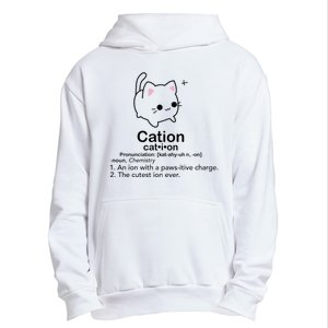 Cat Cation Cute Kitty Cation Urban Pullover Hoodie