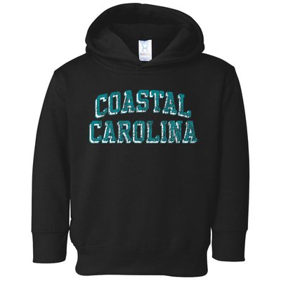 Coastal Carolina Chanticleers Retro Arch Logo Toddler Hoodie