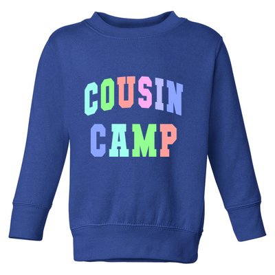 College Cousin Camp Aunt Team Family Vibes Best Ever Gift Toddler Sweatshirt