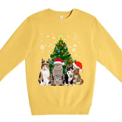 Cute Cat Christmas Tree Cat Lover Xmas Cat Mom Gift Premium Crewneck Sweatshirt