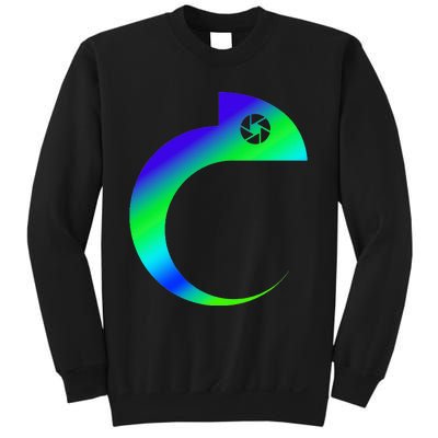 Content Chameleon  Sweatshirt