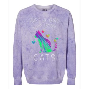 Cute Cat Cat Womens Cat Tees Cat Colorblast Crewneck Sweatshirt