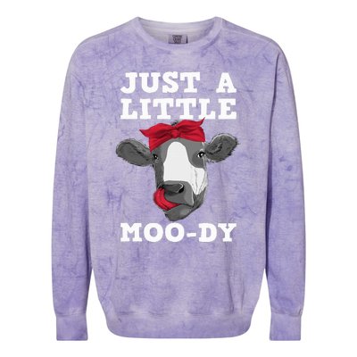 Cute Cow Design Dairy Cow Lover Cattle Farming Colorblast Crewneck Sweatshirt