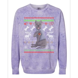 Cane Corso Dog Santa Claus Ugly Christmas Pattern Xgiftmas Gift Colorblast Crewneck Sweatshirt