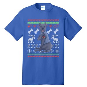 Cane Corso Dog Santa Claus Ugly Christmas Pattern Xgiftmas Gift Tall T-Shirt