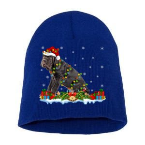 Cane Corso Dog Xmas Lighting Santa Cane Corso Christmas Cool Gift Short Acrylic Beanie