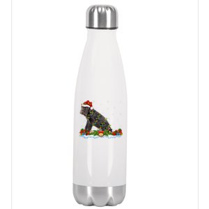 Cane Corso Dog Xmas Lighting Santa Cane Corso Christmas Cool Gift Stainless Steel Insulated Water Bottle