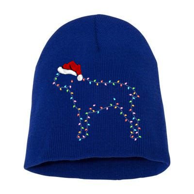 Cane Corso Dog Xmas Lighting Santa Hat Cane Corso Christmas Cool Gift Short Acrylic Beanie