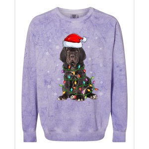 Cane Corso Dog Xmas Lighting Santa Hat Cane Corso Christmas Funny Gift Colorblast Crewneck Sweatshirt