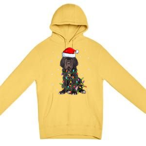 Cane Corso Dog Xmas Lighting Santa Hat Cane Corso Christmas Funny Gift Premium Pullover Hoodie