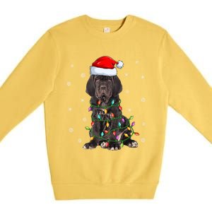 Cane Corso Dog Xmas Lighting Santa Hat Cane Corso Christmas Funny Gift Premium Crewneck Sweatshirt