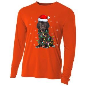 Cane Corso Dog Xmas Lighting Santa Hat Cane Corso Christmas Funny Gift Cooling Performance Long Sleeve Crew