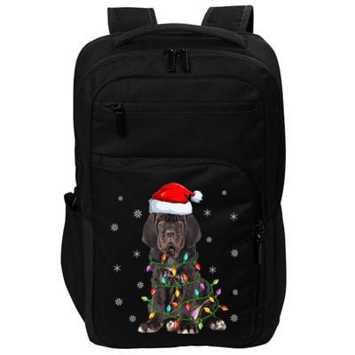 Cane Corso Dog Xmas Lighting Santa Hat Cane Corso Christmas Funny Gift Impact Tech Backpack