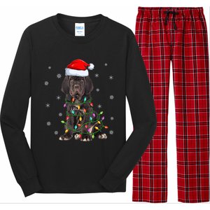 Cane Corso Dog Xmas Lighting Santa Hat Cane Corso Christmas Funny Gift Long Sleeve Pajama Set