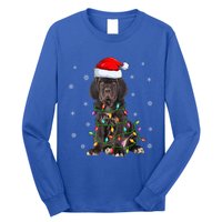 Cane Corso Dog Xmas Lighting Santa Hat Cane Corso Christmas Funny Gift Long Sleeve Shirt