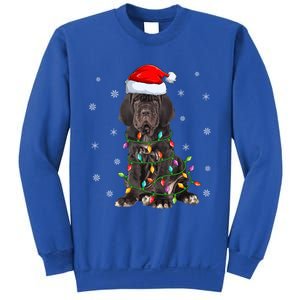 Cane Corso Dog Xmas Lighting Santa Hat Cane Corso Christmas Funny Gift Sweatshirt