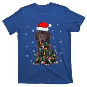 Cane Corso Dog Xmas Lighting Santa Hat Cane Corso Christmas Funny Gift T-Shirt