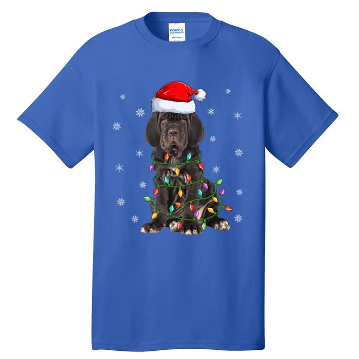 Cane Corso Dog Xmas Lighting Santa Hat Cane Corso Christmas Funny Gift Tall T-Shirt