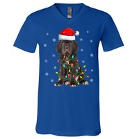 Cane Corso Dog Xmas Lighting Santa Hat Cane Corso Christmas Funny Gift V-Neck T-Shirt