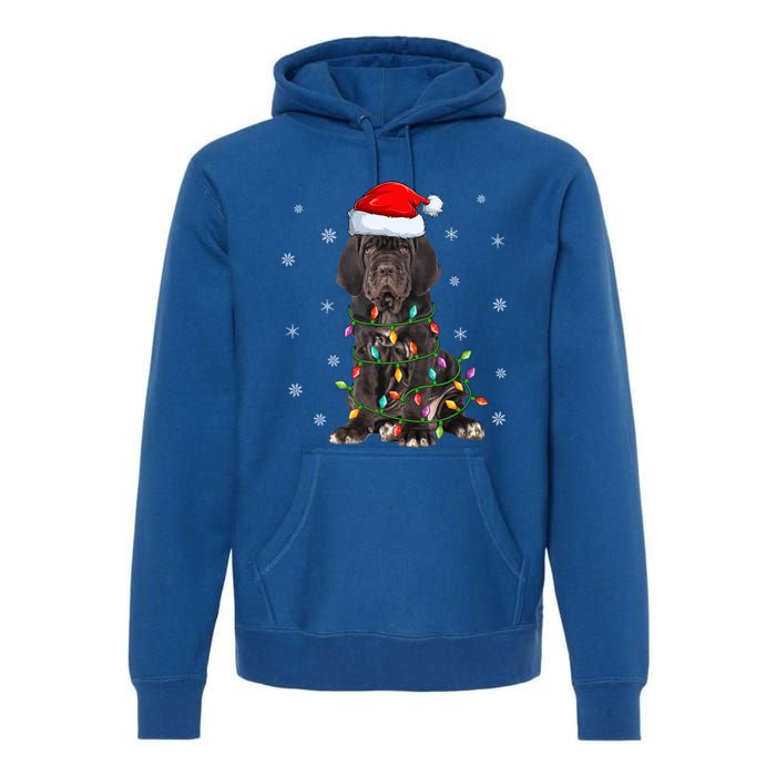 Cane Corso Dog Xmas Lighting Santa Hat Cane Corso Christmas Funny Gift Premium Hoodie