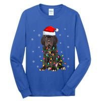 Cane Corso Dog Xmas Lighting Santa Hat Cane Corso Christmas Funny Gift Tall Long Sleeve T-Shirt