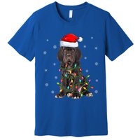 Cane Corso Dog Xmas Lighting Santa Hat Cane Corso Christmas Funny Gift Premium T-Shirt