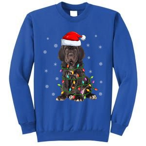 Cane Corso Dog Xmas Lighting Santa Hat Cane Corso Christmas Funny Gift Tall Sweatshirt