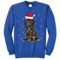 Cane Corso Dog Xmas Lighting Santa Hat Cane Corso Christmas Funny Gift Tall Sweatshirt