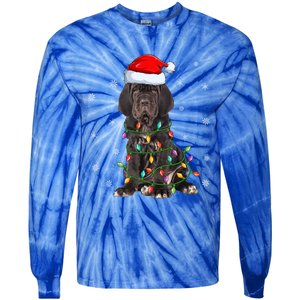 Cane Corso Dog Xmas Lighting Santa Hat Cane Corso Christmas Funny Gift Tie-Dye Long Sleeve Shirt