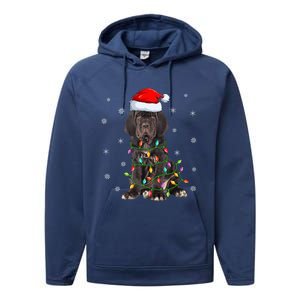 Cane Corso Dog Xmas Lighting Santa Hat Cane Corso Christmas Funny Gift Performance Fleece Hoodie