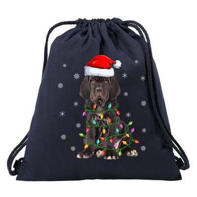 Cane Corso Dog Xmas Lighting Santa Hat Cane Corso Christmas Funny Gift Drawstring Bag