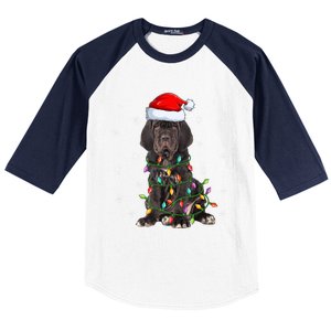 Cane Corso Dog Xmas Lighting Santa Hat Cane Corso Christmas Funny Gift Baseball Sleeve Shirt