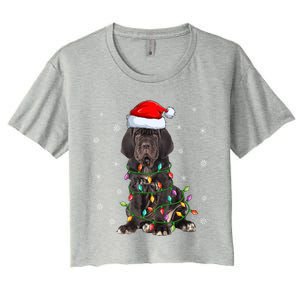 Cane Corso Dog Xmas Lighting Santa Hat Cane Corso Christmas Funny Gift Women's Crop Top Tee