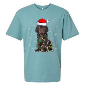 Cane Corso Dog Xmas Lighting Santa Hat Cane Corso Christmas Funny Gift Sueded Cloud Jersey T-Shirt