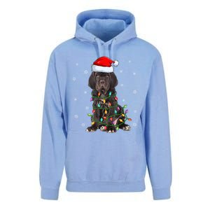 Cane Corso Dog Xmas Lighting Santa Hat Cane Corso Christmas Funny Gift Unisex Surf Hoodie