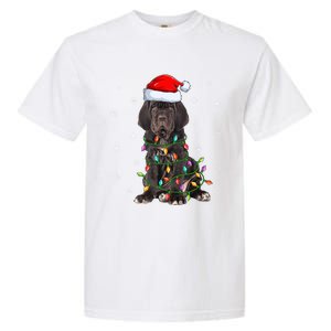 Cane Corso Dog Xmas Lighting Santa Hat Cane Corso Christmas Funny Gift Garment-Dyed Heavyweight T-Shirt