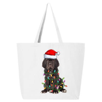 Cane Corso Dog Xmas Lighting Santa Hat Cane Corso Christmas Funny Gift 25L Jumbo Tote