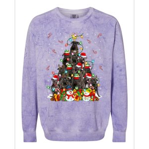 Cane Corso Dog Xmas Lighting Tree Santa Cane Corso Christmas Gift Colorblast Crewneck Sweatshirt