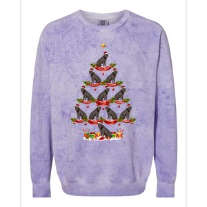 Cane Corso Dog Xmas Tree Lighting Cane Corso Christmas Tree Gift Colorblast Crewneck Sweatshirt