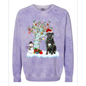 Cane Corso Dog Xmas Tree Lighting Santa Cane Corso Christmas Gift Colorblast Crewneck Sweatshirt