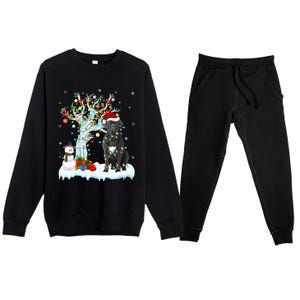 Cane Corso Dog Xmas Tree Lighting Santa Cane Corso Christmas Gift Premium Crewneck Sweatsuit Set