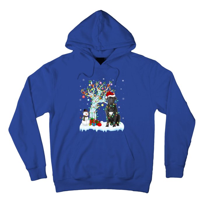 Cane Corso Dog Xmas Tree Lighting Santa Cane Corso Christmas Gift Hoodie